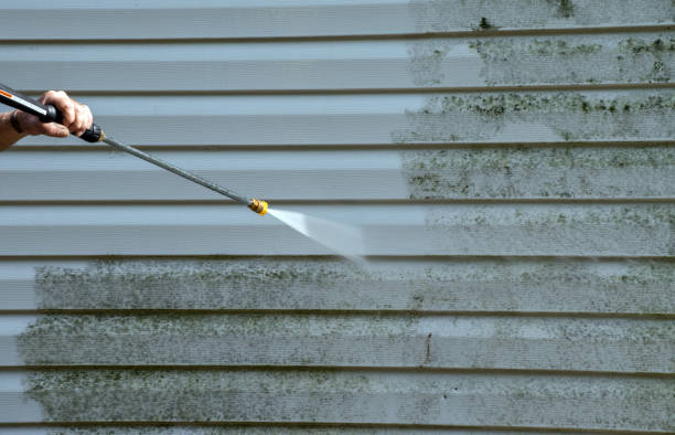Best Roof Pressure Washing  in Douglass Hills, KY